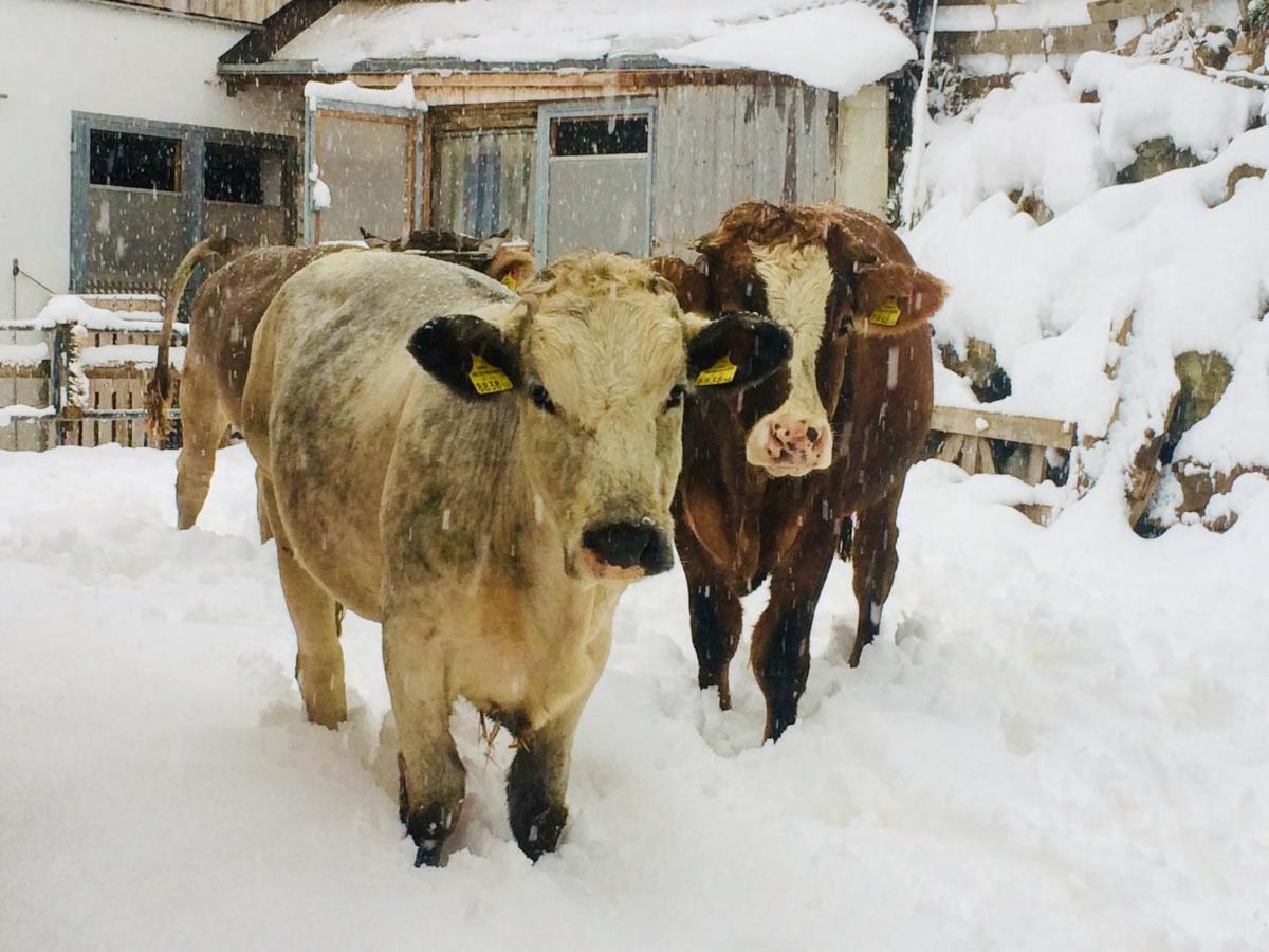 Pirchachhof Daire Wenns Dış mekan fotoğraf